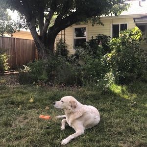 Meet your Posher, Corinne